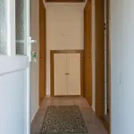 Hajdu 3. Hajduszoboszlo